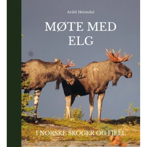 Møte med Elg