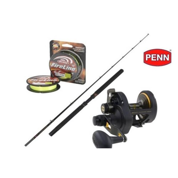 Penn Proff Sett 2 Speed 20-60lb