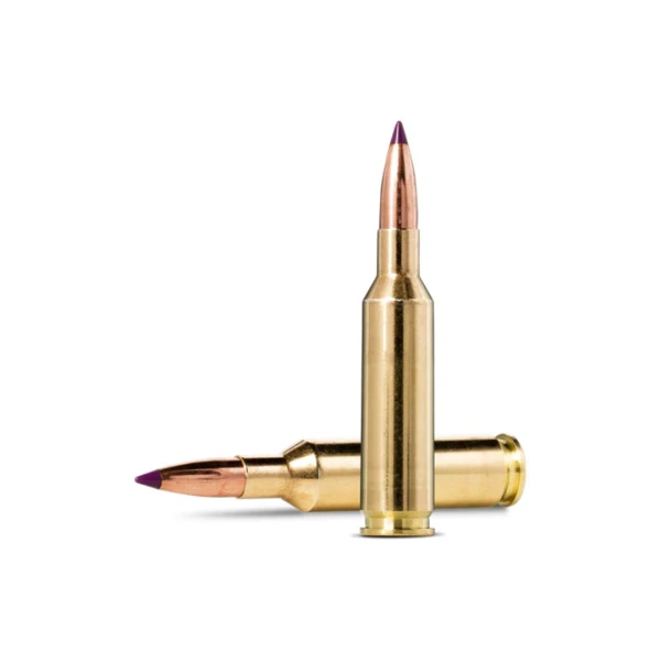6XC, Norma, Nosler BST, 95 grs - Bilde 2