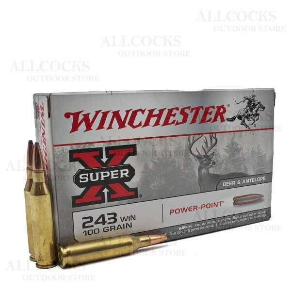 243 Win,Winchester Power Point 100gr