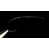 Ken Sawada Salmom Black Spey - Bilde 2