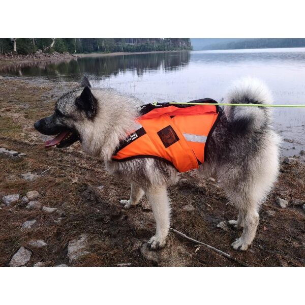 KARDOG JEHU GPS FLYTEVEST