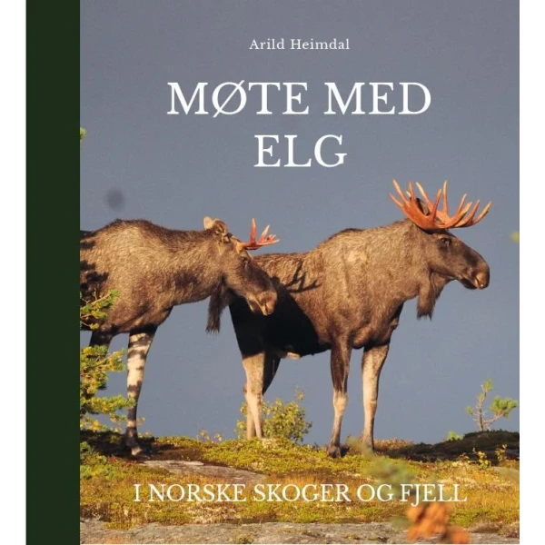 Møte med Elg