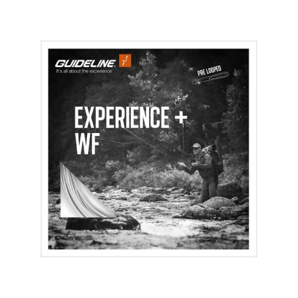 Guideline Experience+ WF flyt