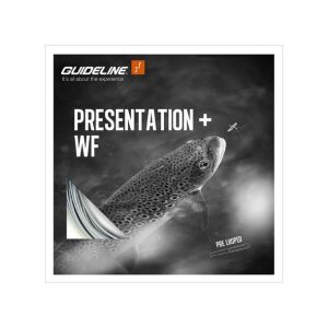 Guideline Presentation + WF