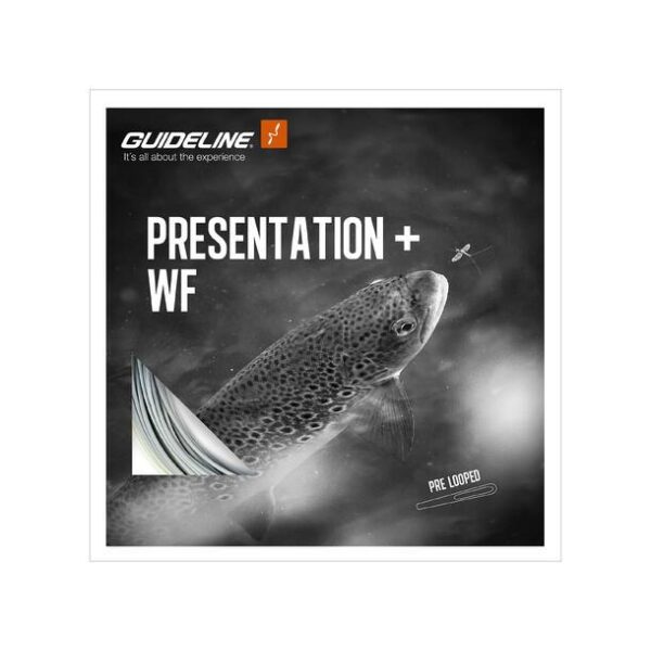 Guideline Presentation + WF