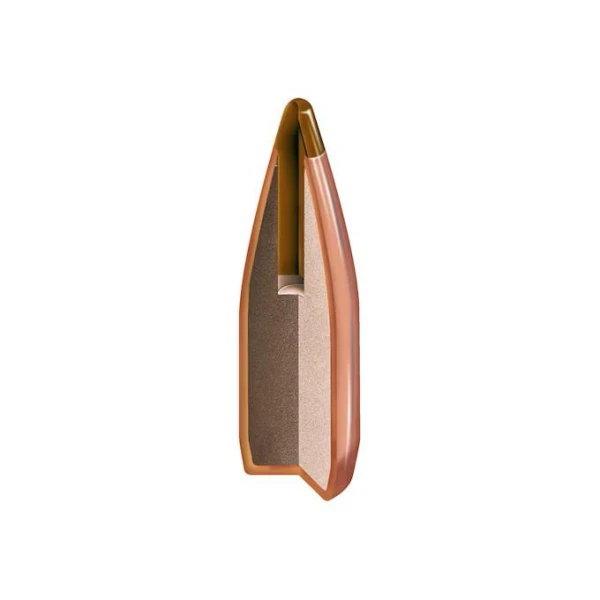 223 Rem, Hornady 35gr NTX - Bilde 2