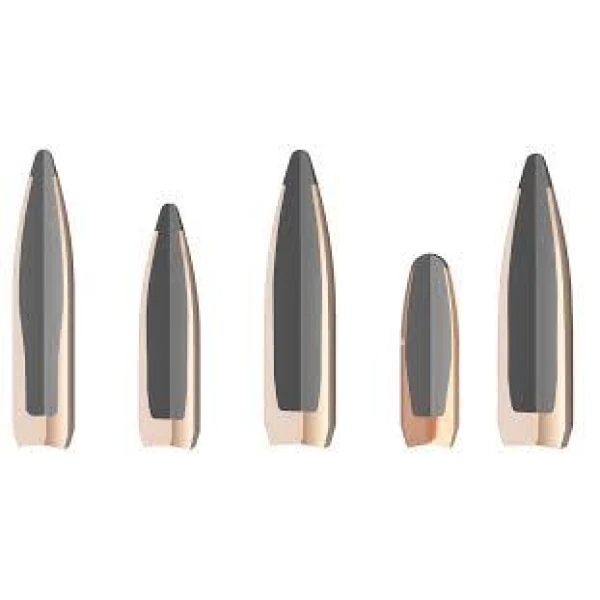 30-06 Nosler Whitetail 165gr - Bilde 2