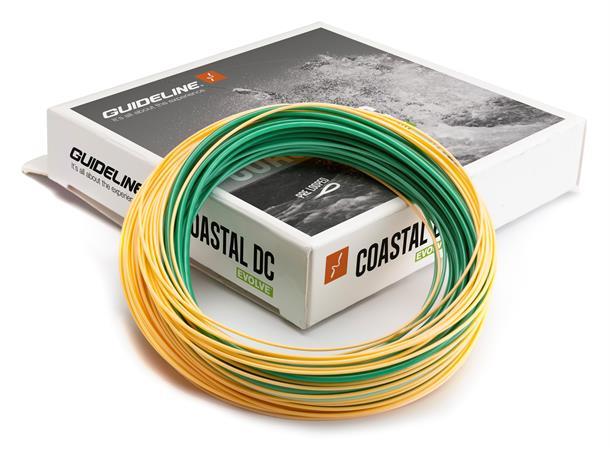 Guideline Coastal Evolve WF