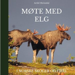 Møte med Elg