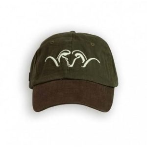 Blaser Cap Bicolor Green/Brown