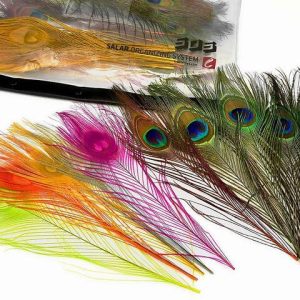 Peackock Feather Pack