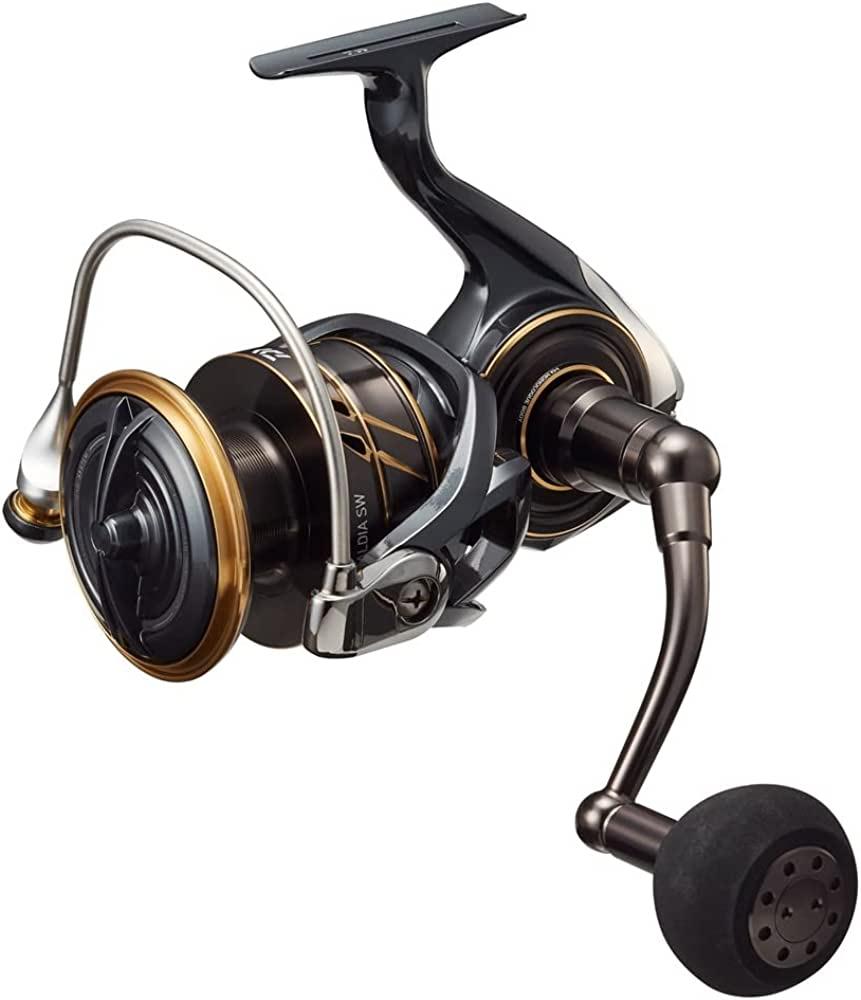 Daiwa Caldia SW 4000D-CXH