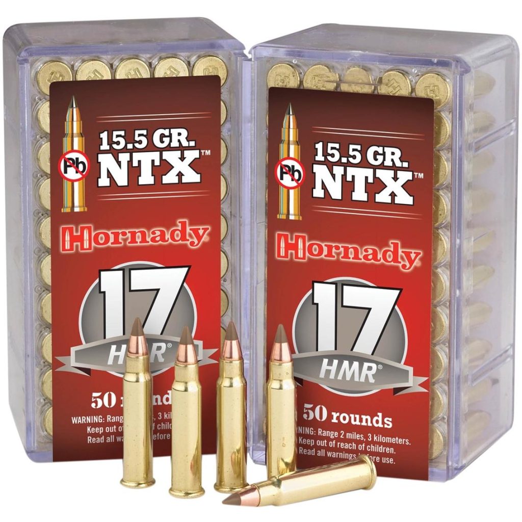 17 HMR Hornady, 15,5 gr NTX