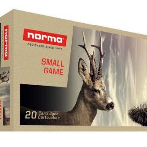 6XC, Norma, Nosler BST, 95 grs