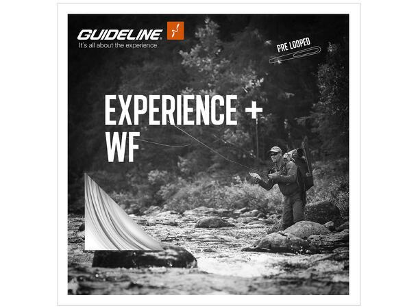 Guideline Experience+ WF flyt
