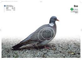 Skive BEO Due (50x35)